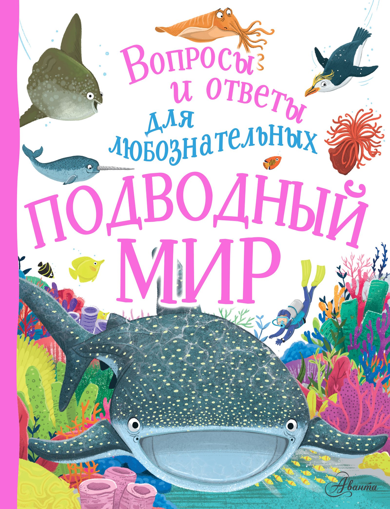 Подводный мир  _ Sualtı Dünyası