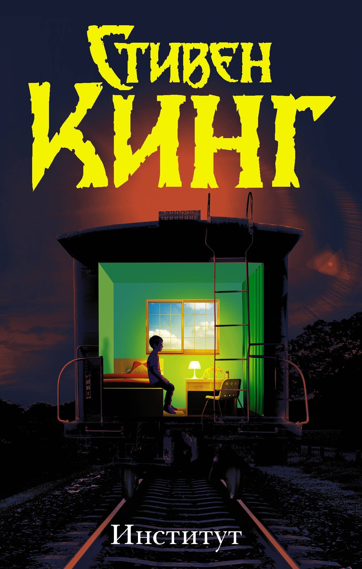 Институт  _ Enstitü