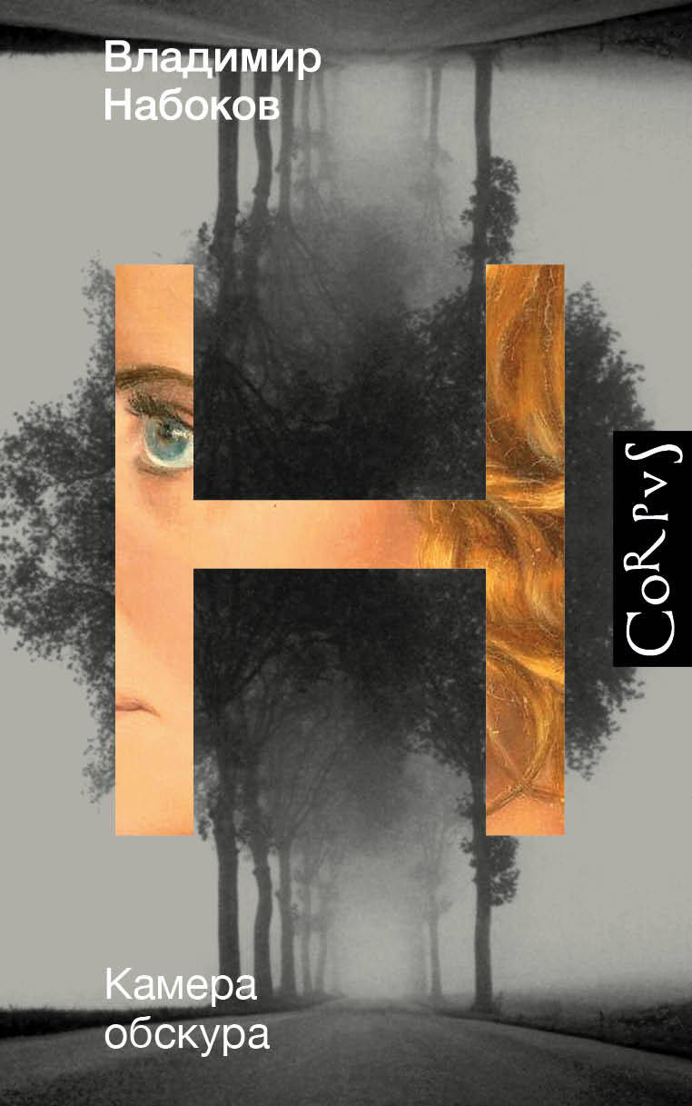 Камера обскура  _ İğne Deliği Kamerası