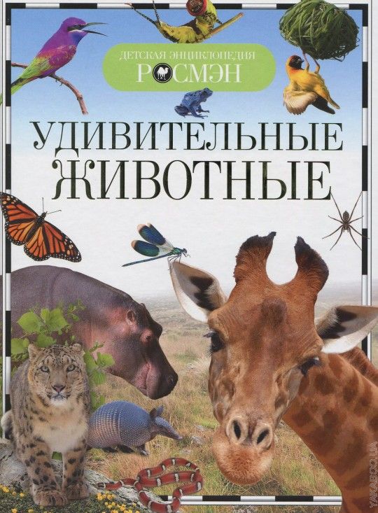 Удивительные животные  _ Harika Hayvanlar