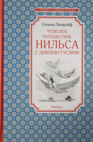 Чудесное путешествие Нильса с дикими гусями  /Nils'İn Yaban Kazlarıyla Harika Yolculuğu